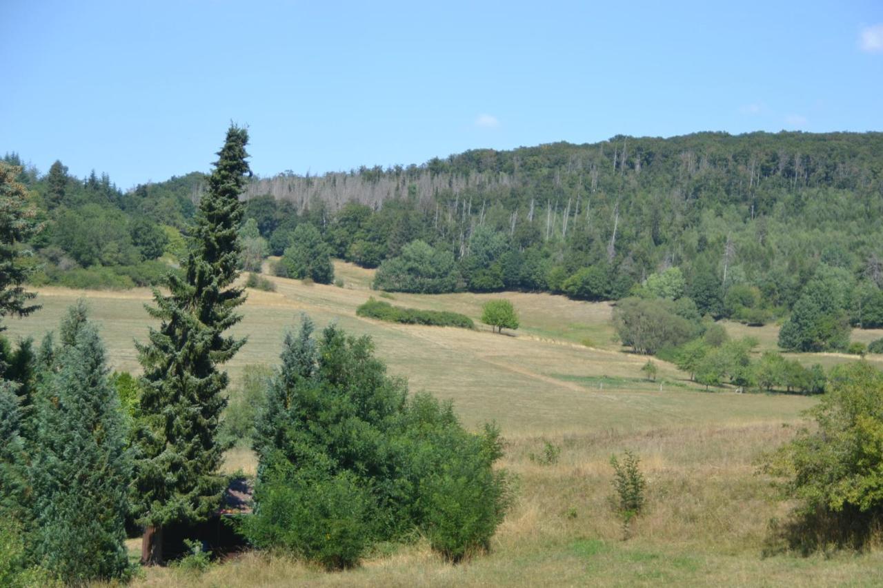 Frankenau Fewo Kellerwald Екстериор снимка